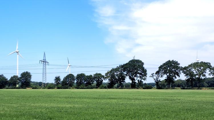 FDP-Ammerland-Wiefelstede-Michael-Koch-Hartmut-Bruns-Energie-Erneuerpar-PV-Windkraft