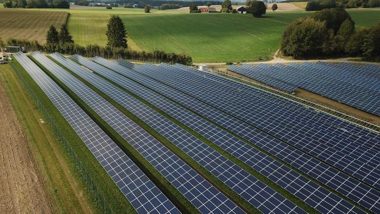 FDP-Wiefelstede-Freiflächen-PV-Solar-Kraftwerk-Energie-Hartmut-Bruns-Karl-Heinz-Würdemann-Landwirtschaft