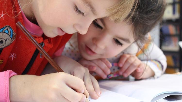 FDP-wiefelstede-sitzung-ausschuss-schule-schulausschuss-oberschule-grundschule